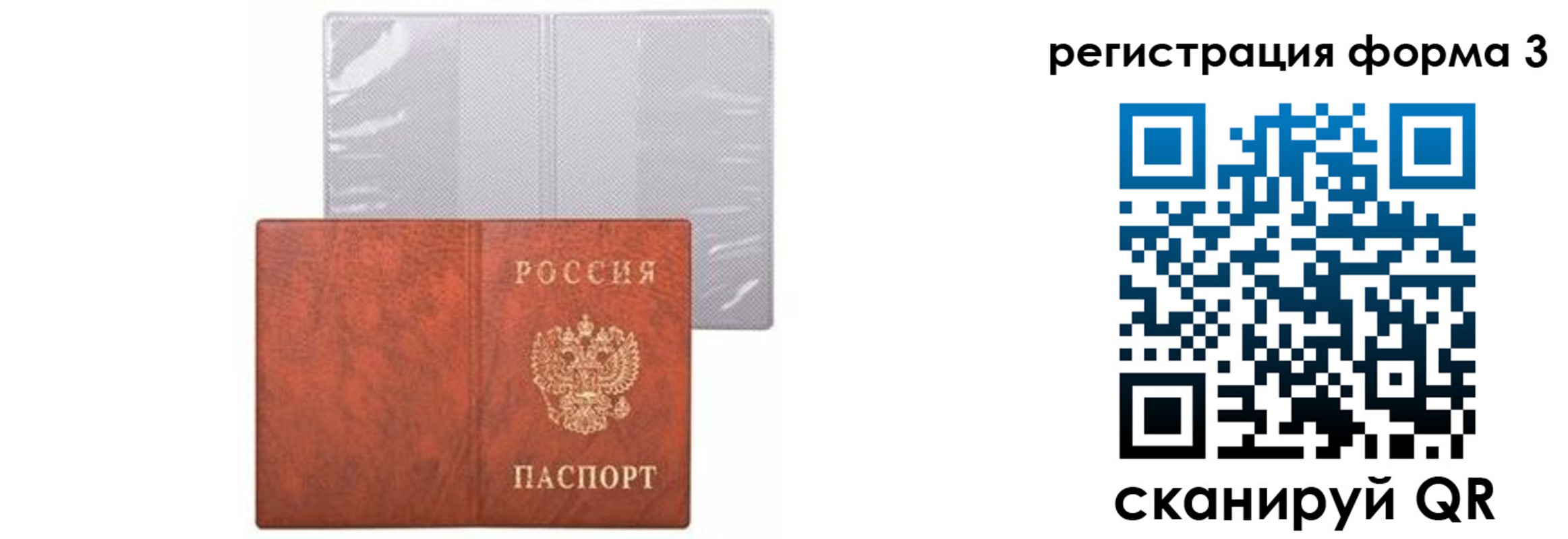 прописка 2025 в Балтийске